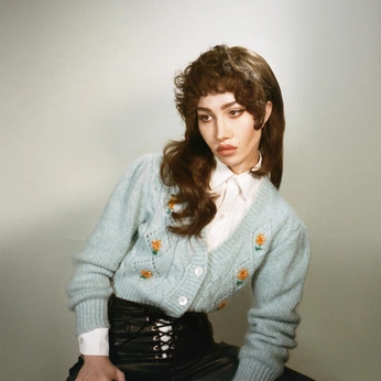 A cover of "Nadia Lee Cohen" cluster. The owner is luxblues. The cluster description is "Artist, photographer, filmmaker working within pop culture.". The cluster consists of 21 elements.