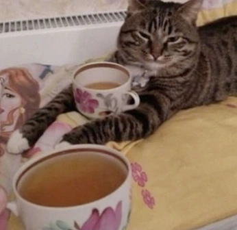 A cover of "relatable cats" cluster. The owner is eliselauren. The cluster consists of 4 elements.