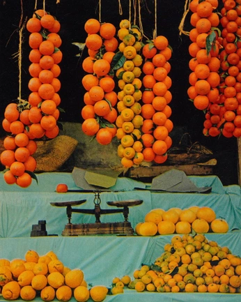 A cover of "Food" cluster. The owner is anubis787. The cluster consists of 16 elements.