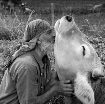 A cover of "Love" cluster. The owner is marisarobinson. The cluster consists of 4 elements.