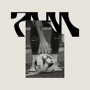 A cover of "betano e brasileirão" cluster. The owner is ferrraz. The cluster consists of 16 elements.