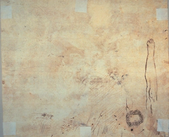 A cover of "T E X T U R E" cluster. The owner is a.hlgren. The cluster consists of 29 elements.