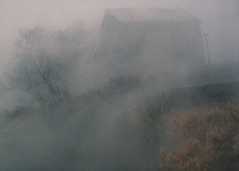 A cover of "afterlife" cluster. The owner is isleofecho. The cluster consists of 26 elements.