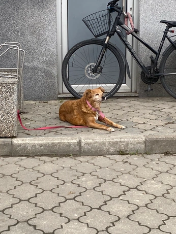 A cover of "Street" cluster. The owner is hololo. The cluster consists of 2 elements.