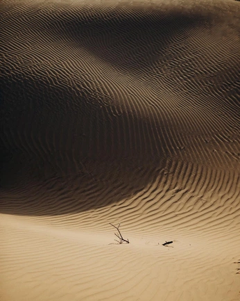 A cover of "Nature" cluster. The owner is elesto. The cluster consists of 10 elements.