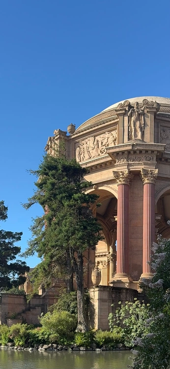 A cover of "assemblage" cluster. The owner is gnomad. The cluster description is "digital artifacts of aesthetic merit". The cluster consists of 33 elements.