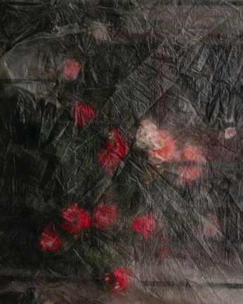 A cover of "latin mafia" cluster. The owner is idker. The cluster consists of 1 element.