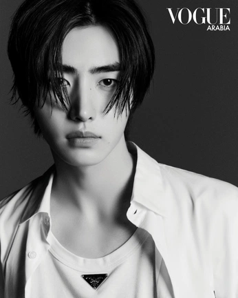 A cover of "Hoonie" cluster. The owner is emisue. The cluster consists of 6 elements.