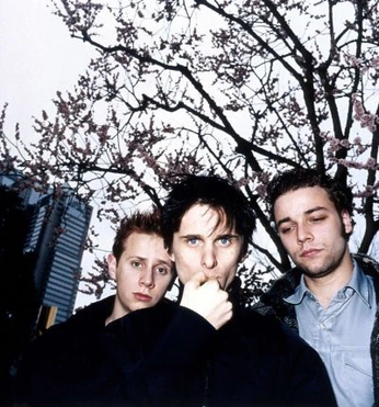 A cover of "musuc" cluster. The owner is saintlaurentz. The cluster consists of 1 element.