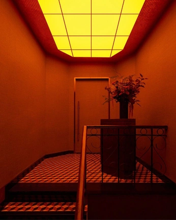 A cover of "Disco" cluster. The owner is xmoto. The cluster consists of 7 elements.