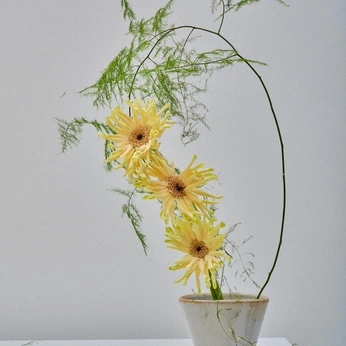 A cover of "HERE - Flowers" cluster. The owner is lilywan. The cluster consists of 13 elements.