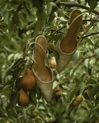 A cover of "Motive" cluster. The owner is moanasax. The cluster consists of 1 element.