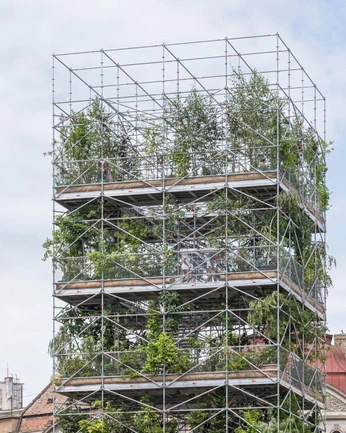 A cover of "skeleton" cluster. The owner is reemayami. The cluster consists of 19 elements.