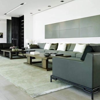 A cover of "Living Room" cluster. The owner is tfortrace. The cluster consists of 253 elements.