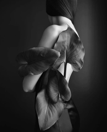 A cover of "Flowers" cluster. The owner is sashalida. The cluster consists of 14 elements.