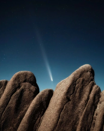 A cover of "Nature" cluster. The owner is alvar.ooo. The cluster consists of 1 element.