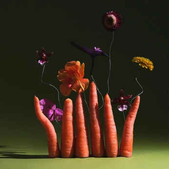 A cover of "chacha" cluster. The owner is savaso. The cluster consists of 3 elements.