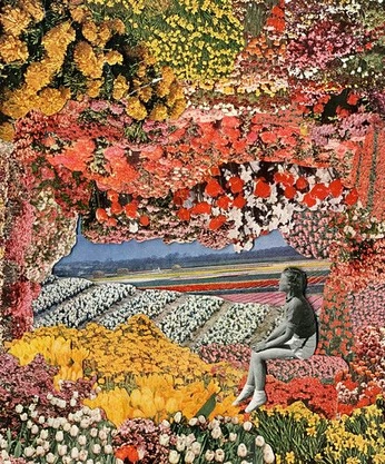 A cover of "garden" cluster. The owner is vigor40. The cluster consists of 4 elements.