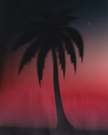 A cover of "Alive" cluster. The owner is shawtibaeky. The cluster consists of 2 elements.