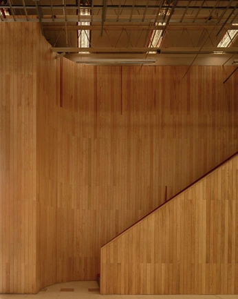 A cover of "Bamboo" cluster. The owner is deep.savalia. The cluster consists of 51 elements.