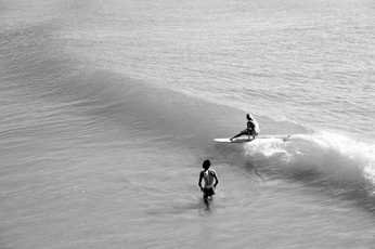 A cover of "organic serenity 🌬️" cluster. The owner is summer14. The cluster consists of 21 elements.