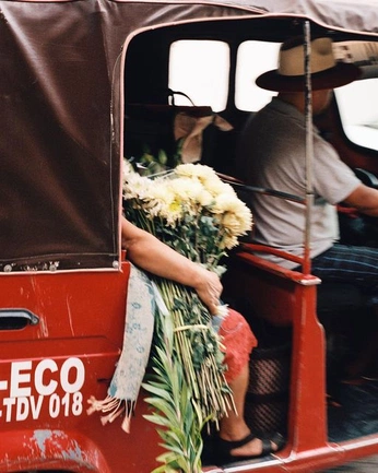 A cover of "discover" cluster. The owner is evelinkangur. The cluster consists of 120 elements.