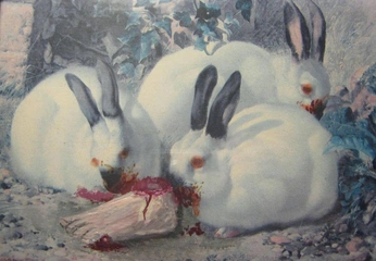 A cover of "comfort&disturbed" cluster. The owner is svanilla. The cluster consists of 8 elements.