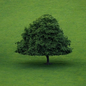 A cover of "II. EARTH" cluster. The owner is paeme. The cluster consists of 23 elements.