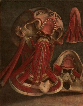 A cover of "horror" cluster. The owner is lichenlimerick. The cluster consists of 6 elements.