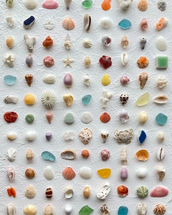 A cover of "shells" cluster. The owner is be4fy. The cluster consists of 17 elements.