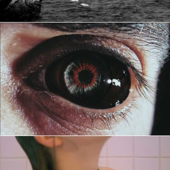 A cover of "Concepts" cluster. The owner is alexgya. The cluster consists of 21 elements.