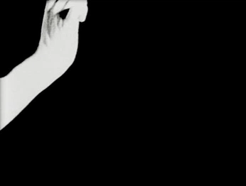 A cover of "Animation" cluster. The owner is eiles1102. The cluster consists of 39 elements.