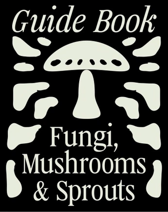 A cover of "Graphic Style" cluster. The owner is javelina. The cluster consists of 1 element.