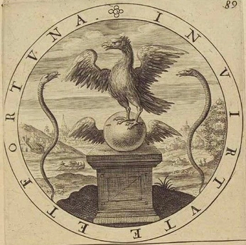 A cover of "magazine" cluster. The owner is claraekroth1. The cluster consists of 154 elements.