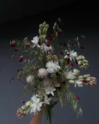 A cover of "Flowers" cluster. The owner is emilio.btl. The cluster consists of 25 elements.