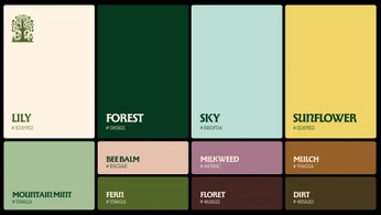 A cover of "color pallet" cluster. The owner is johnsameh. The cluster consists of 49 elements.