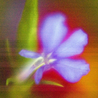 A cover of "multi" cluster. The owner is onziemelame. The cluster consists of 5 elements.