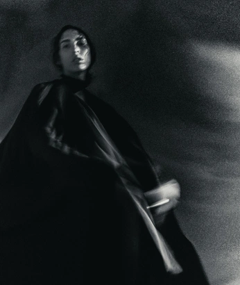 A cover of "PORTRAITURE" cluster. The owner is dave.sam. The cluster consists of 2 elements.