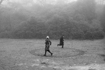 A cover of "Photography" cluster. The owner is baobao. The cluster consists of 1 element.