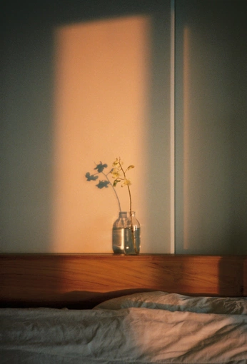 A cover of "lifestyle" cluster. The owner is sophiameek. The cluster consists of 4 elements.