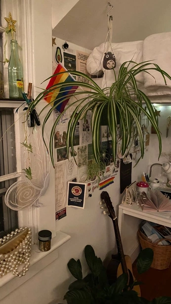 A cover of "Goon cave Ideas" cluster. The owner is madame.monika. The cluster consists of 246 elements.