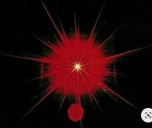 Fabrizzio Yamamoto Zampieri avatar