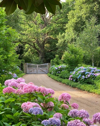 A cover of "Уют" cluster. The owner is miche. The cluster consists of 19 elements.