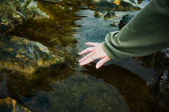 A cover of "Human" cluster. The owner is jahlion19. The cluster consists of 23 elements.