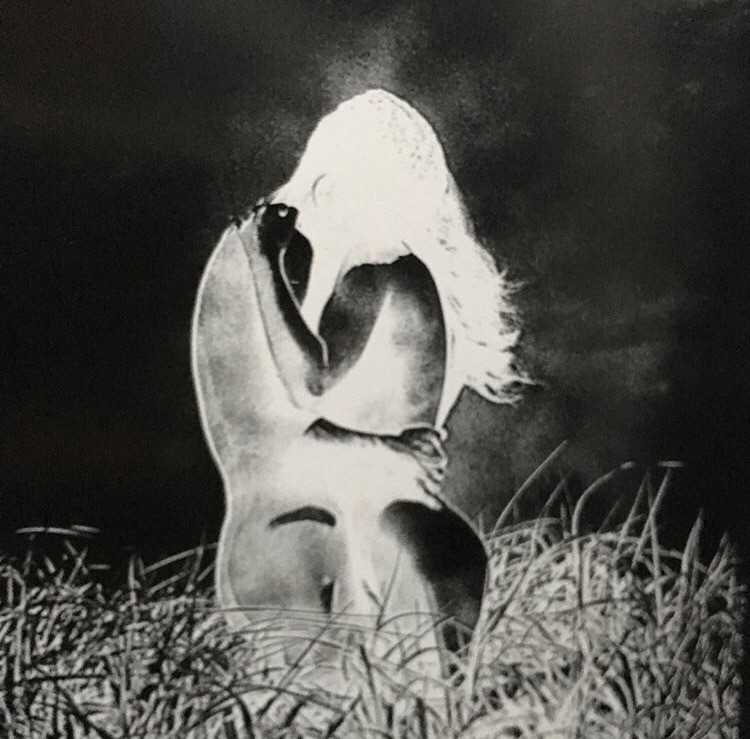 Photograph by Kazuo Kenmochi.