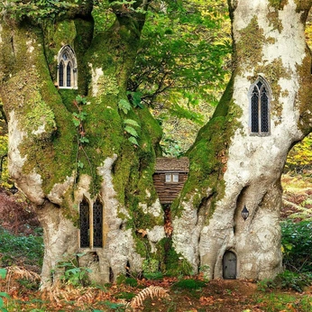 A cover of "Grow together" cluster. The owner is mxsunshine. The cluster consists of 101 elements.