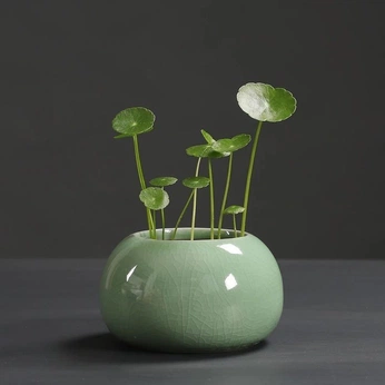 A cover of "Drawings" cluster. The owner is hansm. The cluster consists of 3 elements.