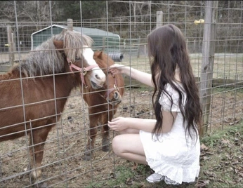 A cover of "virginia maude" cluster. The owner is bloodiedbathe. The cluster description is "original book; do not copy. + the mother.". The cluster consists of 135 elements.