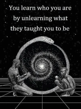 A cover of "." cluster. The owner is erythroxylaceae. The cluster consists of 4 elements.