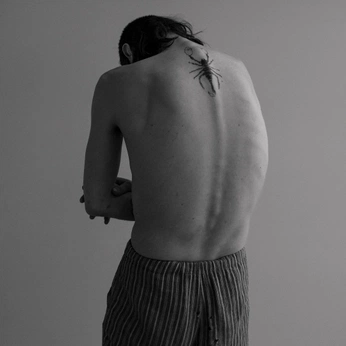 A cover of "Austin x Mathilde" cluster. The owner is austinwyatt. The cluster consists of 15 elements.